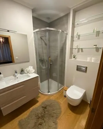 Centro Ciudad Lejlighed